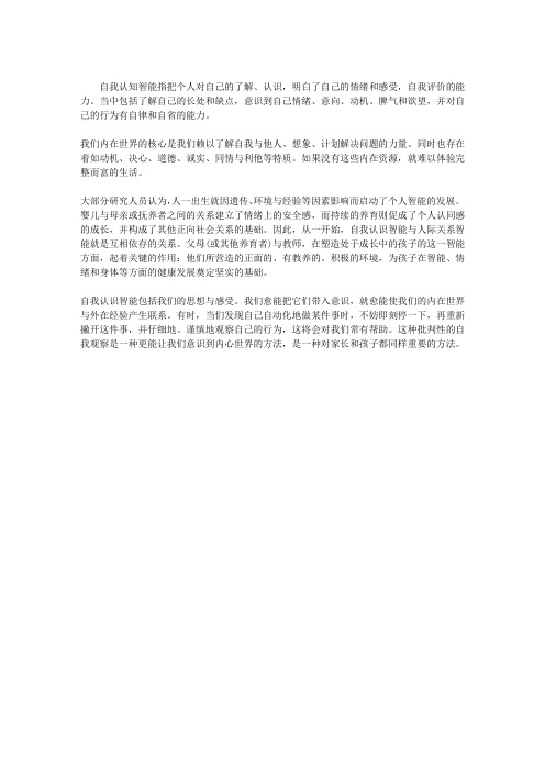 自我认知智能概述