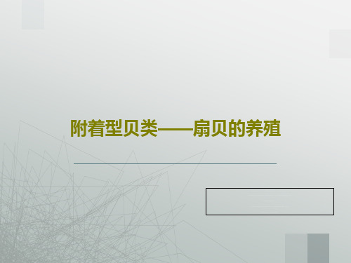 附着型贝类——扇贝的养殖共52页文档