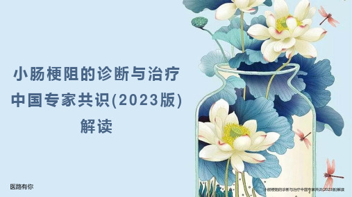 小肠梗阻的诊断与治疗中国专家共识(2023版)解读