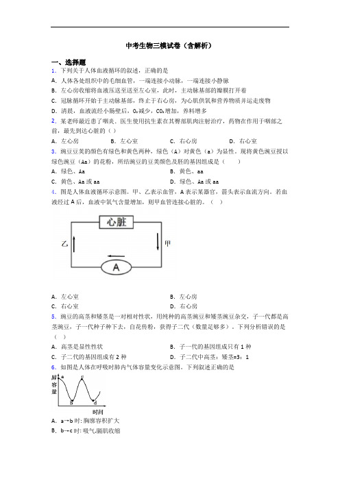 中考生物三模试卷(含解析)