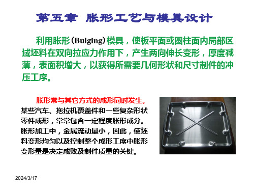 第五章胀形工艺及模具设计