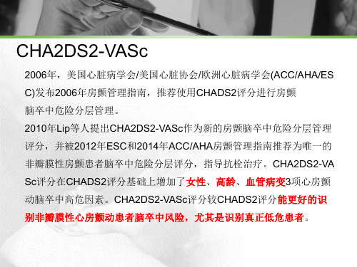 CHA2DS2-VASc评分解释说课材料