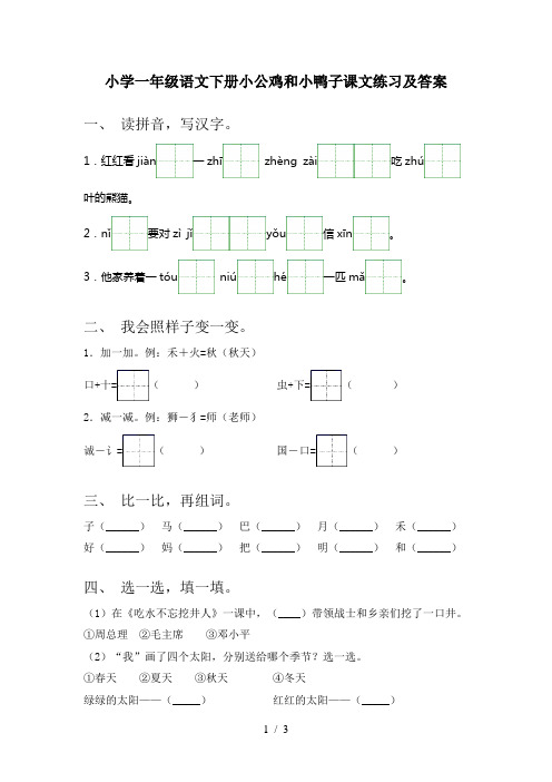 小学一年级语文下册小公鸡和小鸭子课文练习及答案