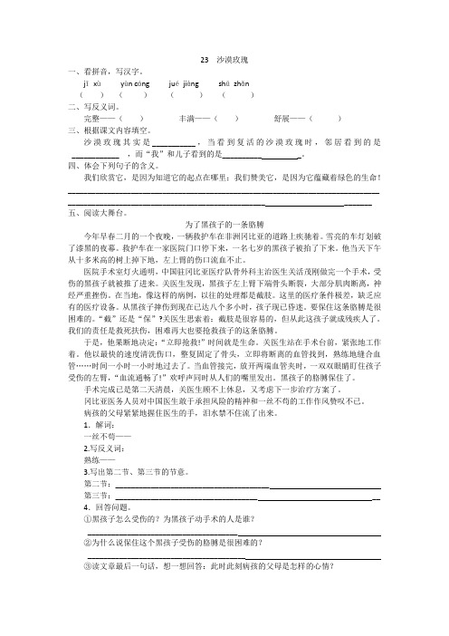 小学六年级语文 沙漠玫瑰