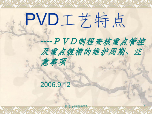 PVD工艺特点PPT课件