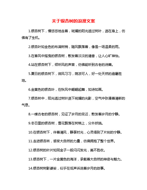 关于银杏树的浪漫文案