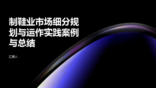 制鞋业市场细分规划与运作实践案例与总结