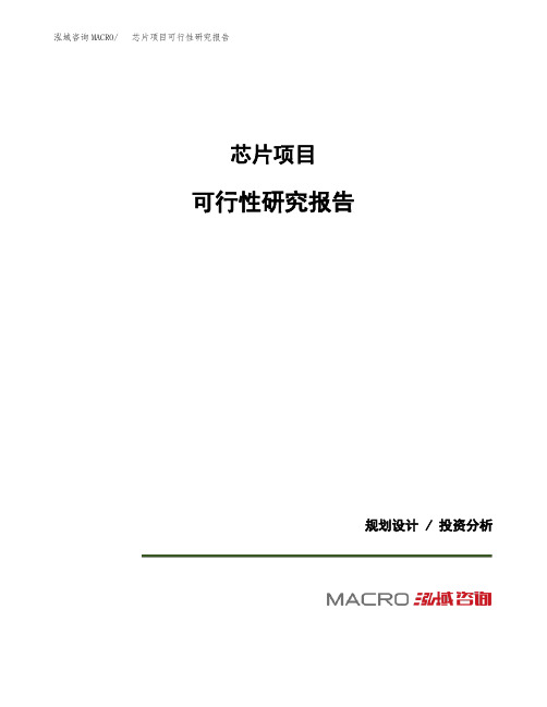 芯片项目可行性研究报告