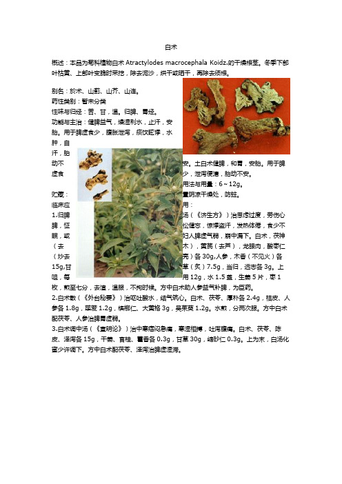 中药图片及作用001