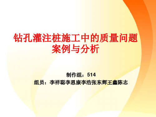 钻孔灌注桩施工中的质量问题案例与分析