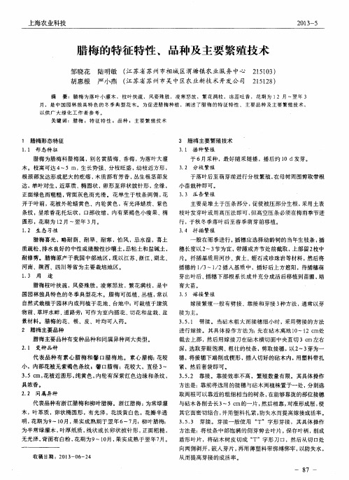 腊梅的特征特性、品种及主要繁殖技术