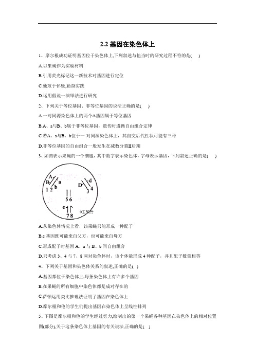 高中生物人教版(2019)必修二随堂练习：第2章2.2基因在染色体上