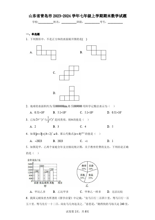 山东省青岛市2023-2024学年七年级上学期期末数学试题