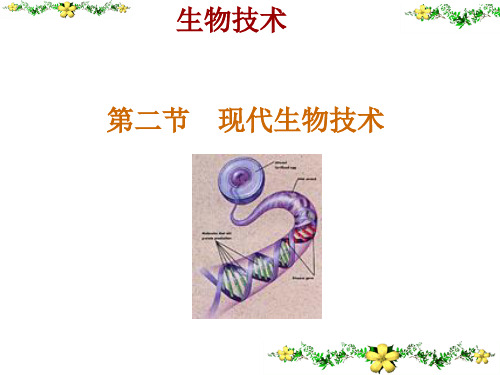 北师大版生物八年级下册25.2《现代生物技术》同步课件(共23张PPT)