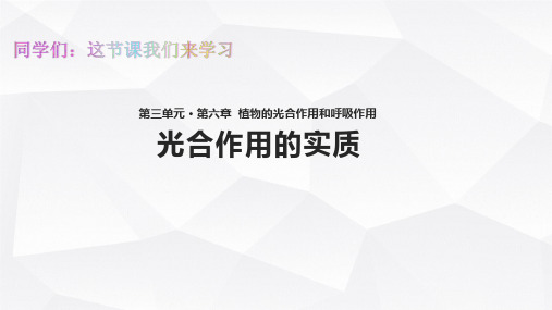 初中七年级生物上册教学课件《光合作用的实质》(苏教版)