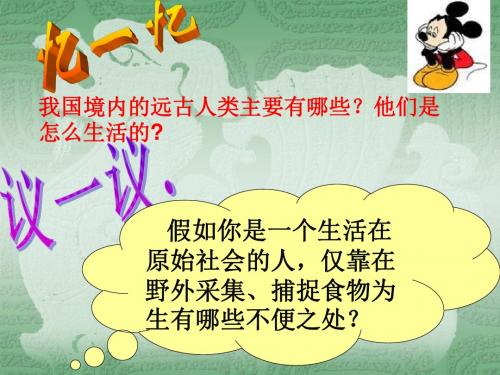【初中历史】星罗棋布的氏族聚落ppt8 北师大版