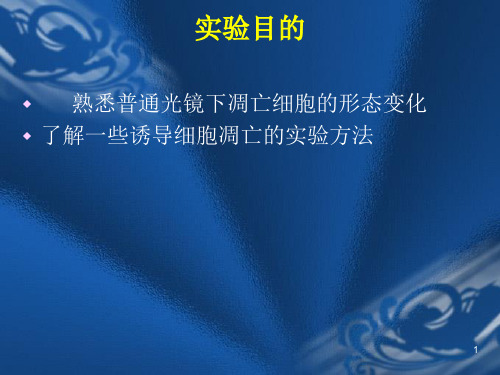 实验十二凋亡细胞的诱导与光镜下形态观察