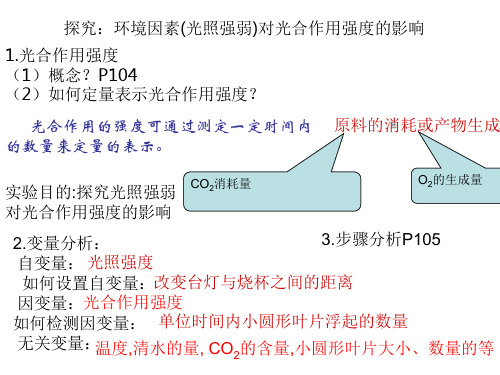 高中生物必修一 光合作用 (2)