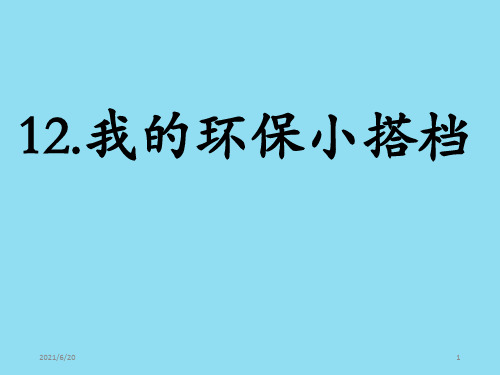 人教部编版二年级下册道德与法治《我的环保小搭档》课件