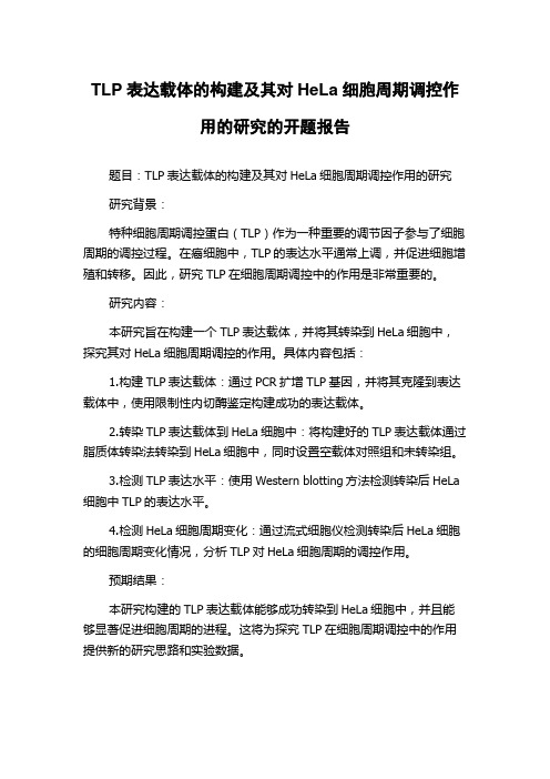 TLP表达载体的构建及其对HeLa细胞周期调控作用的研究的开题报告