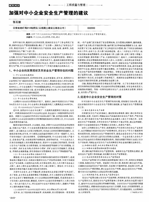 加强对中小企业安全生产管理的建议