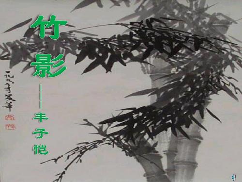 《竹影》 精品课件(共14张)