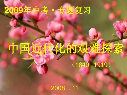 【初中历史】中国近代化的艰难探索PPT课件