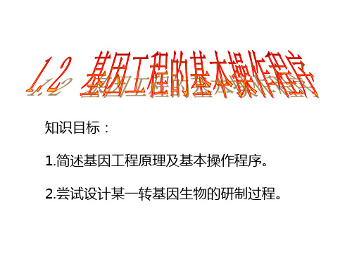 人教版高中生物选修三课件:1.2 基因工程的基本操作程序 (共21张PPT)