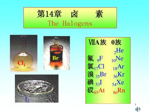 大学无机化学第14章  卤素