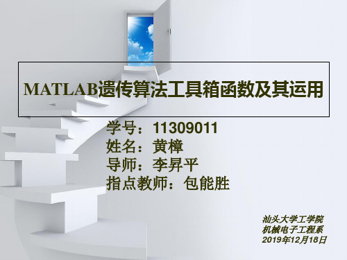 MATLAB遗传算法工具箱及其应用ppt课件