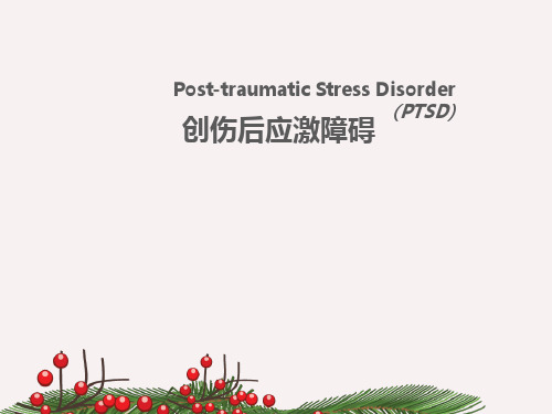 创伤后应激障碍PTSD ppt课件