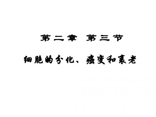 细胞的分化