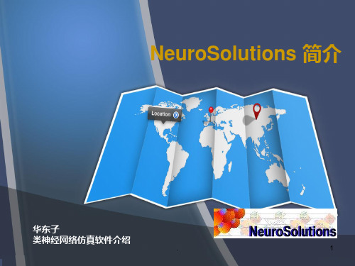 NeuroSolutions 简介PPT课件