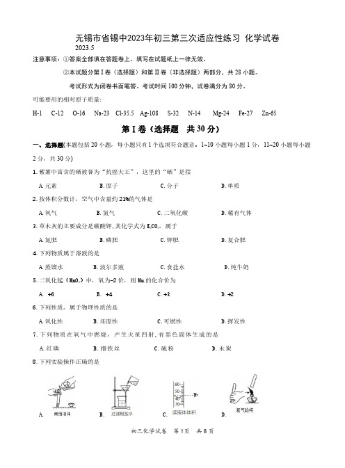 无锡市省锡中2023年中考三模化学试题