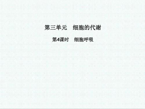 高三生物课件-细胞呼吸课件2 最新