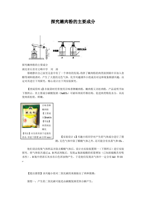 探究嫩肉粉的主要成分huxue