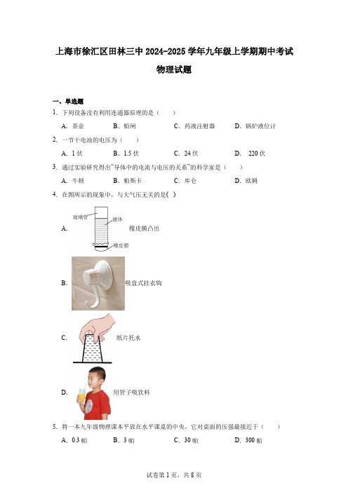 上海市徐汇区田林三中2024-2025学年九年级上学期期中考试物理试题