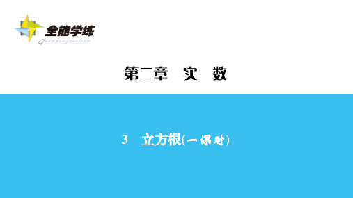 北师版八年级数学上册同步练习课件精品 第2章 3