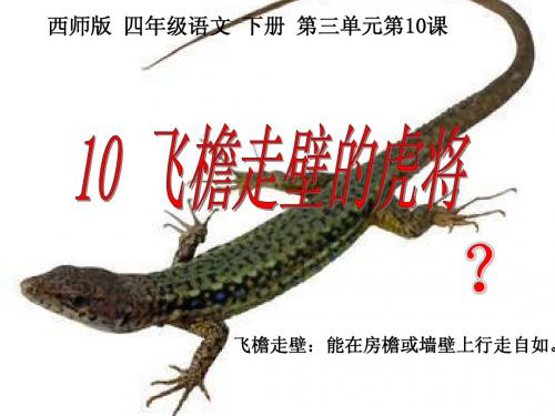 《飞檐走壁的虎将》课件