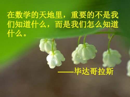 北师大版八年级数学下册平行四边形的性质(第一课时)课件