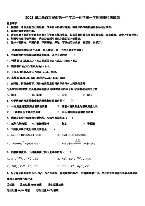 2025届江西省吉安市第一中学高一化学第一学期期末检测试题含解析