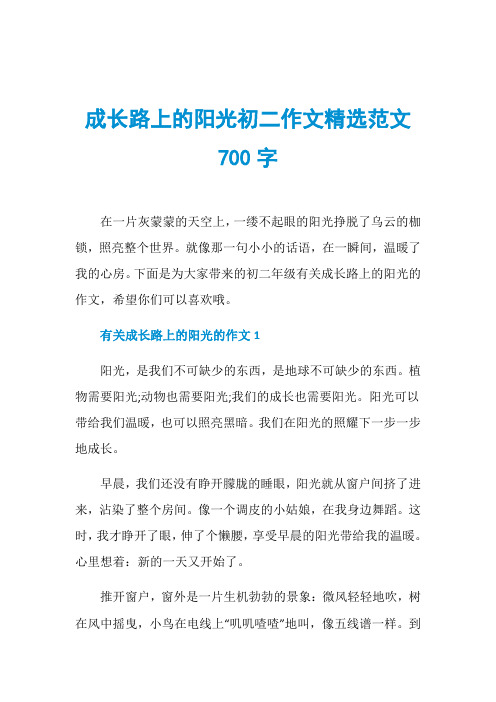 成长路上的阳光初二作文精选范文700字