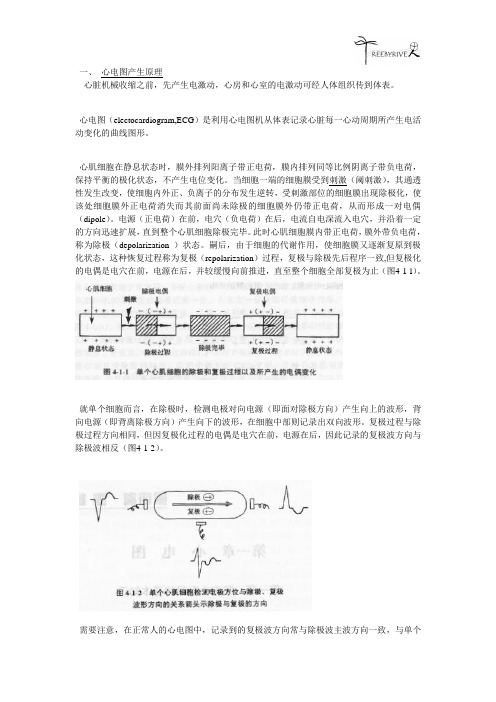 心电图基础知识