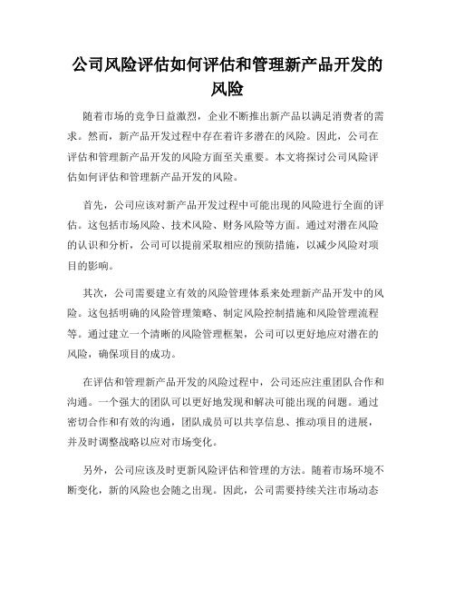 公司风险评估如何评估和管理新产品开发的风险