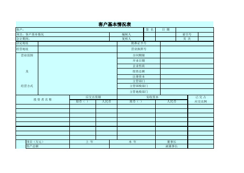 中注协 审计工作底稿 