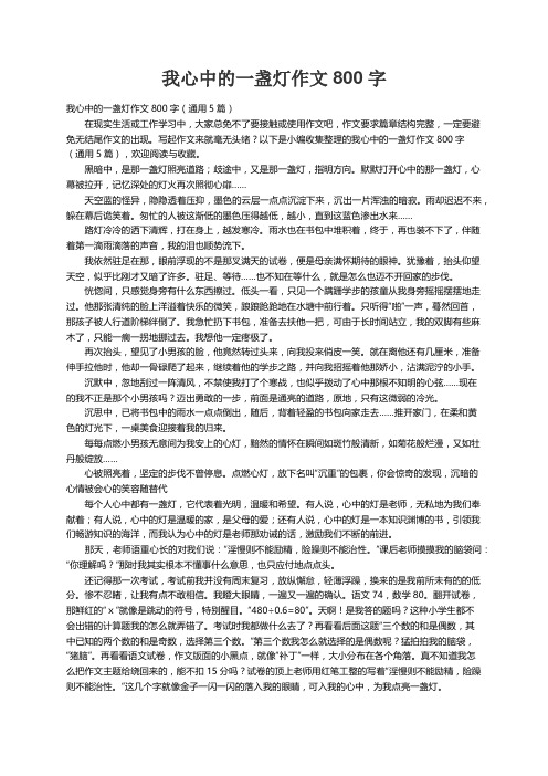 我心中的一盏灯作文800字（通用5篇）