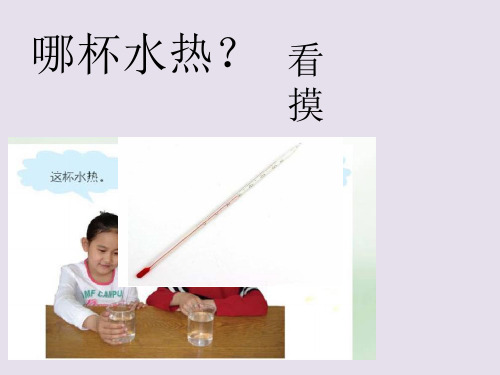 青岛版科学四年级上册6.哪杯水热