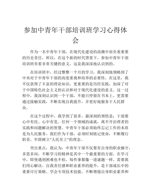 参加中青年干部培训班学习心得体会