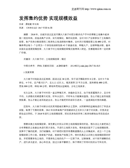 发挥集约优势  实现规模效益