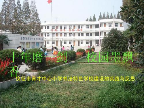 书法特色学校建设的实践与反思
